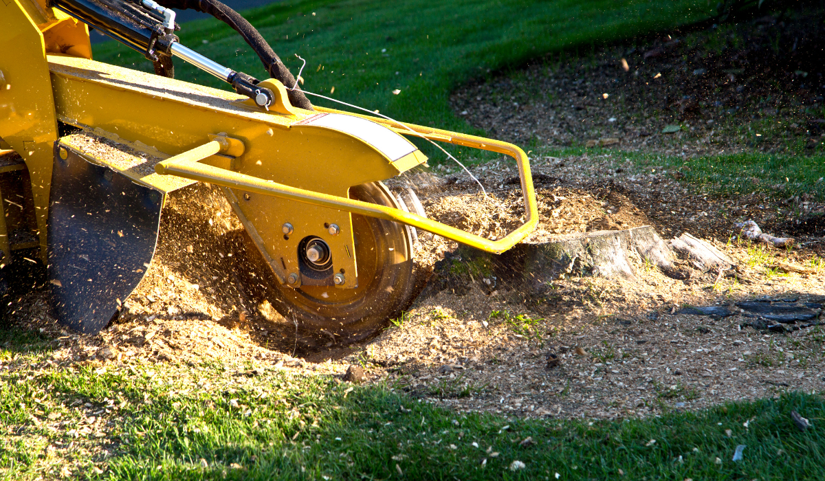 stump grinding in chicagoland Illinois